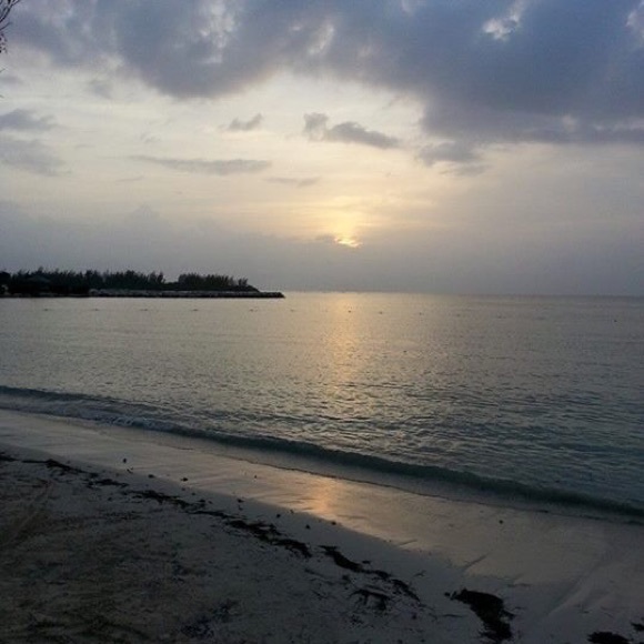 Meet your Posher, Stacy - Picture 1 of 1